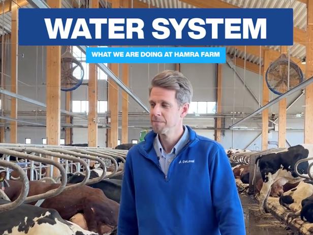 A large indoor dairy barn with cows standing in feeding stalls. In the foreground, a person wearing a blue DeLaval jacket stands in the aisle. Overlaid text at the top reads “WATER SYSTEM,” with a subtitle below saying “WHAT WE ARE DOING AT HAMRA FARM.” The barn has wooden beams, large ventilation fans mounted high on the walls, and natural light coming through windows.