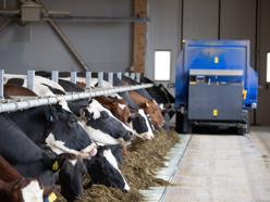 Fully dedicated to dairy farming