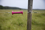 DeLaval standard gate handle