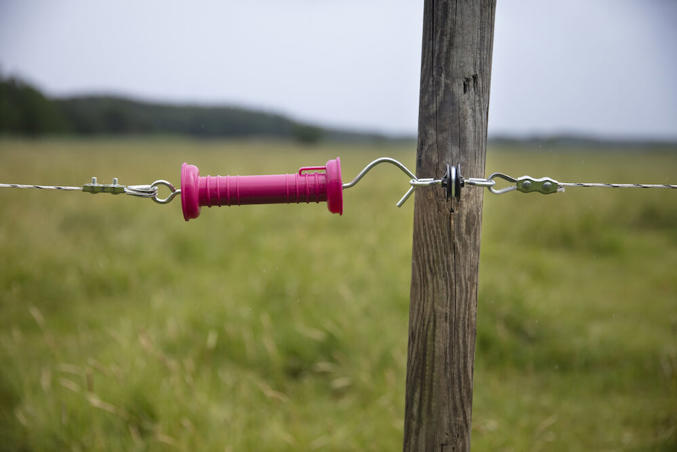 DeLaval standard gate handle