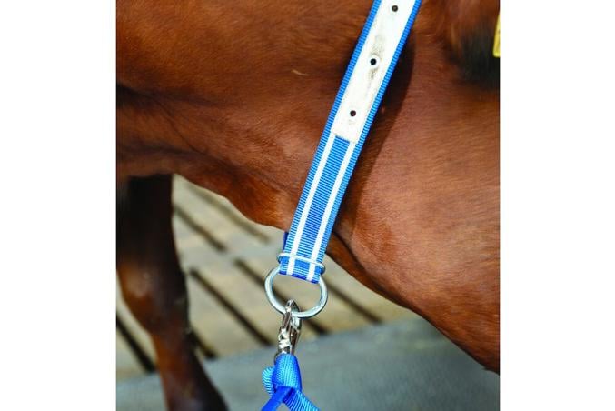 DeLaval neckband comb