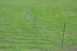DeLaval sheep net BW