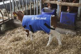 DeLaval calf coat Product image