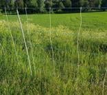 High energy sheep net