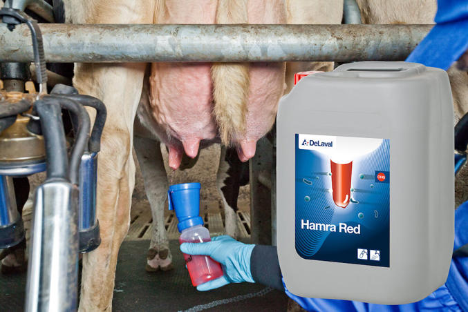 Hamra Red™ pattedyp med klorhexidin