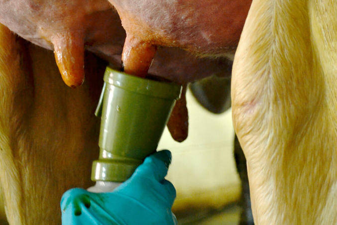 DeLaval IodoZyme™
