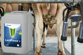LactiFence™ +  Imagen del producto