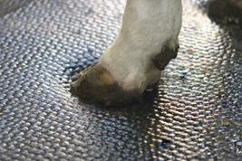 DeLaval kumadrass M40R Produktbilde