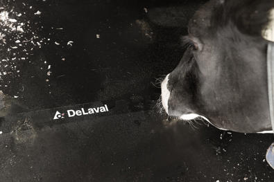 DeLaval komadras M45R