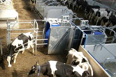 DeLaval smart selection gate SSG 