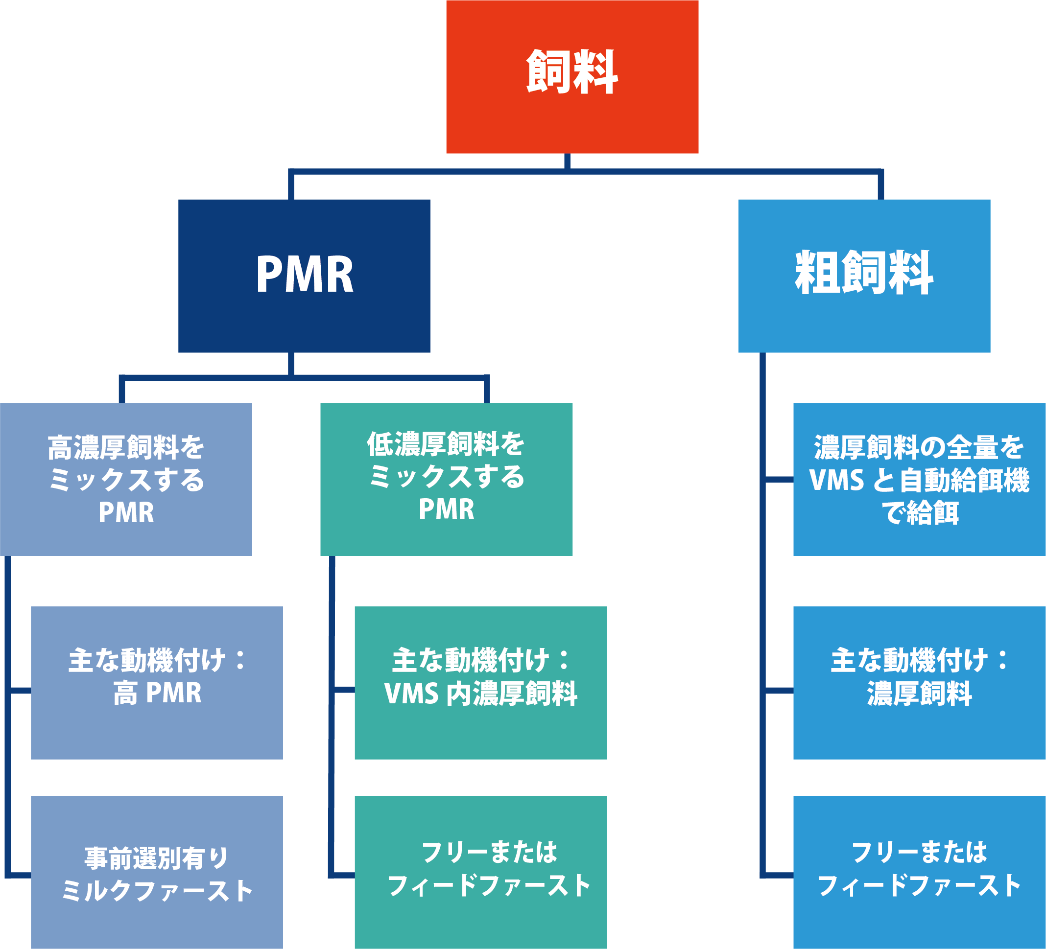 給餌方法_改.png