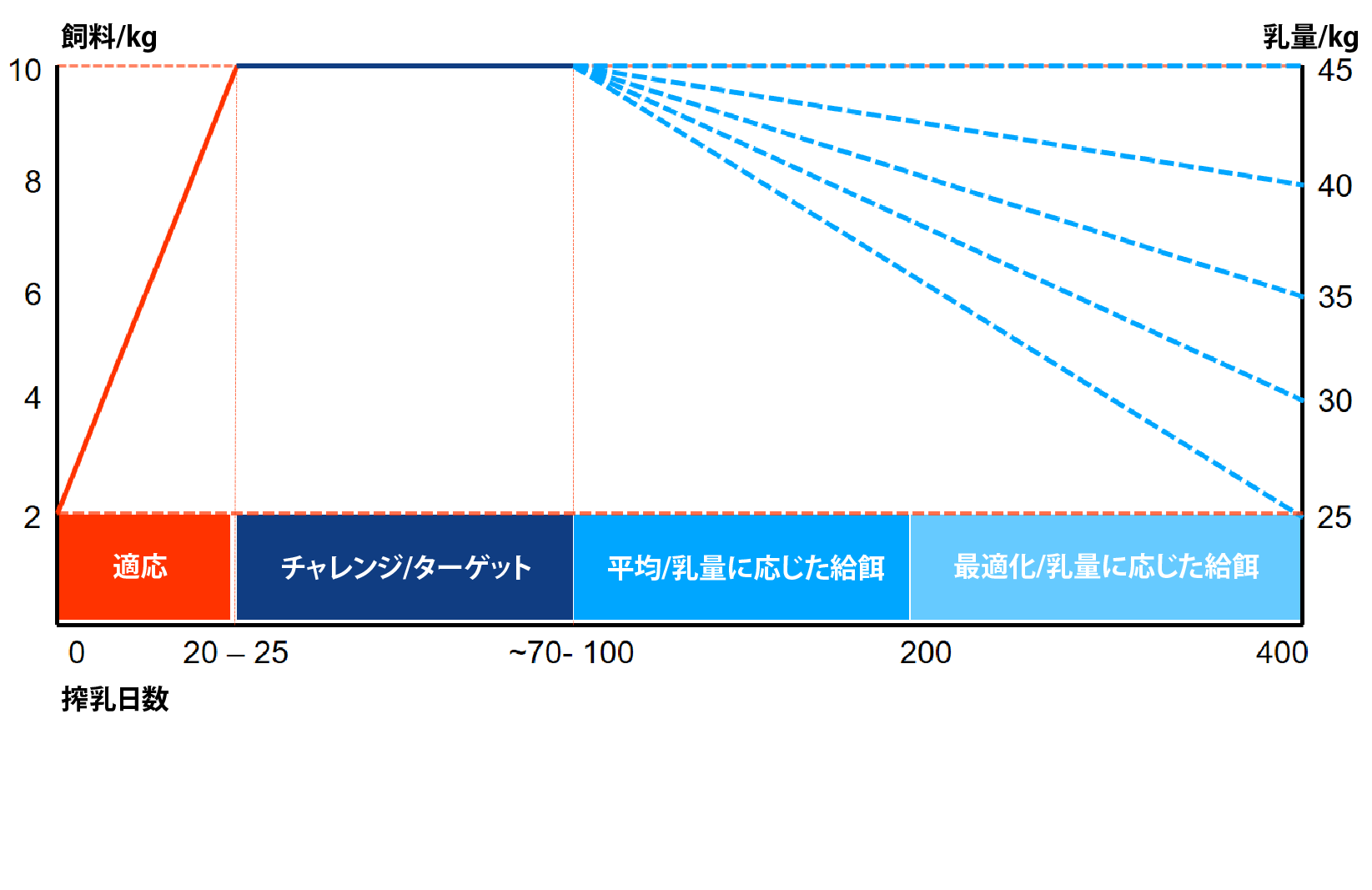 チャレンジ給餌戦略1R.png