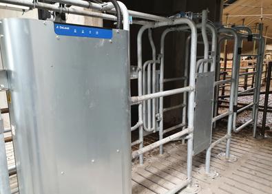 Delaval sort gate DSG5