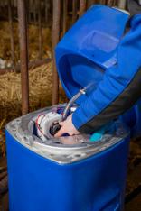 DeLaval HB15 fűtött itató