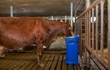 DeLaval HB15 fűtött itató