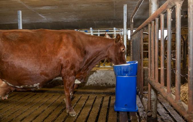 DeLaval HB15 fűtött itató