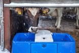 DeLaval napáječka HPT50