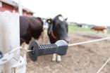 DeLaval elastic gate
