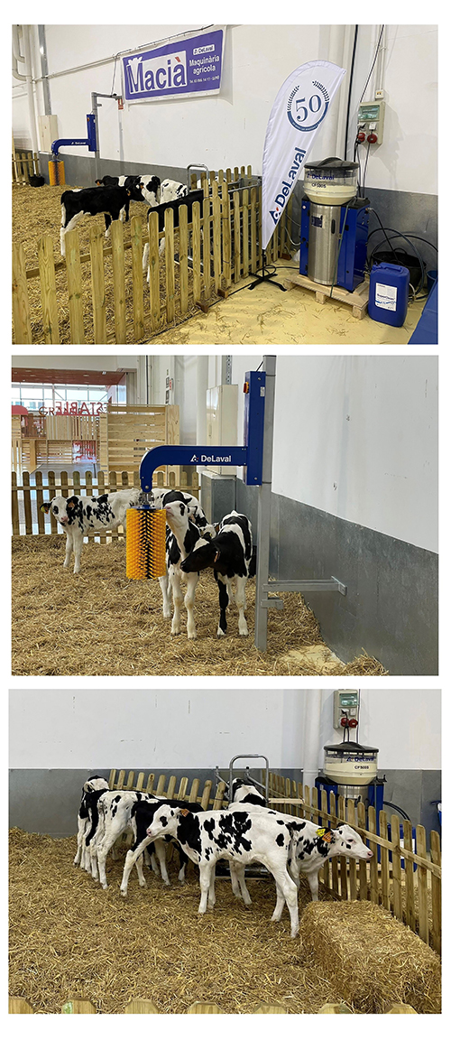 delaval-mercat-del-ram-2022.jpg