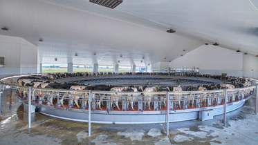 rotativa DeLaval