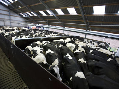 Empujador vacas de delaval