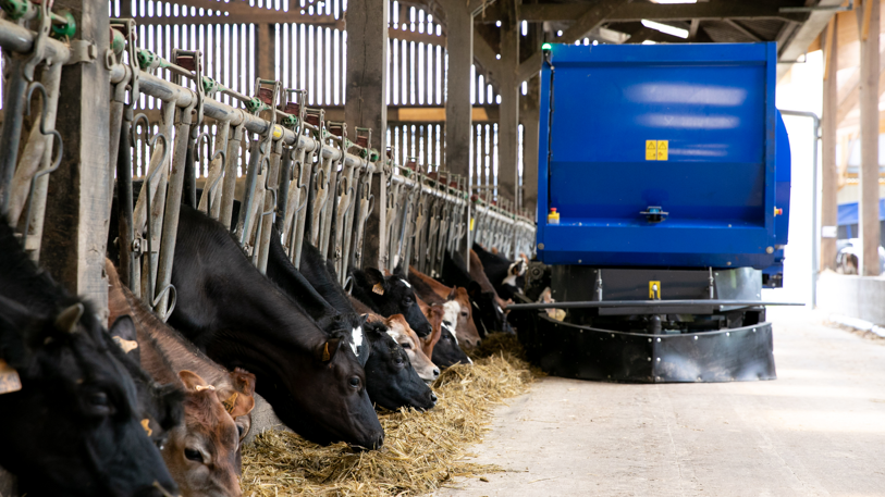 DeLaval optimat sistema de alimentación automática