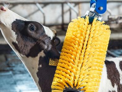 Cepillo para Terneras DeLaval