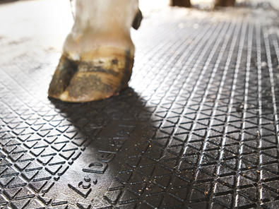 Cubierta de Goma DeLaval R18P