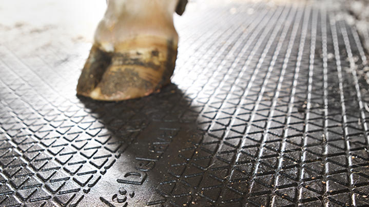 Cubierta de Goma DeLaval R18P