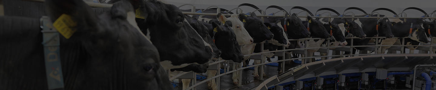 ordeño con delaval