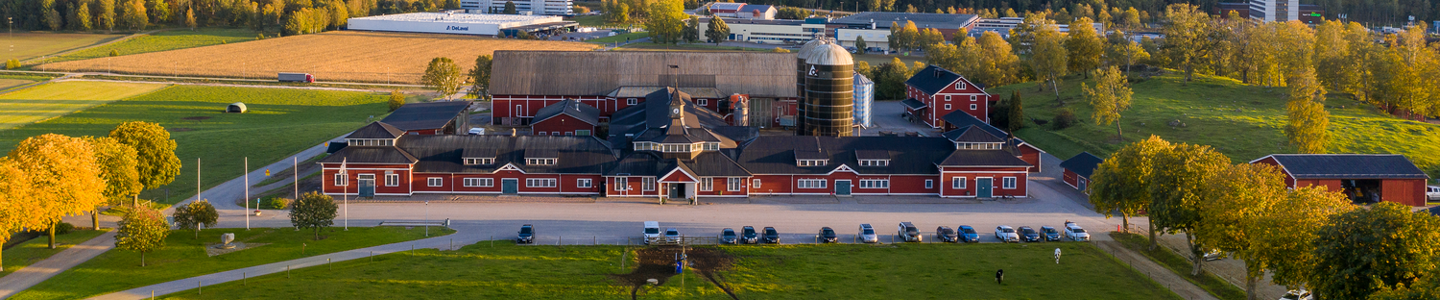 Hamra Farm